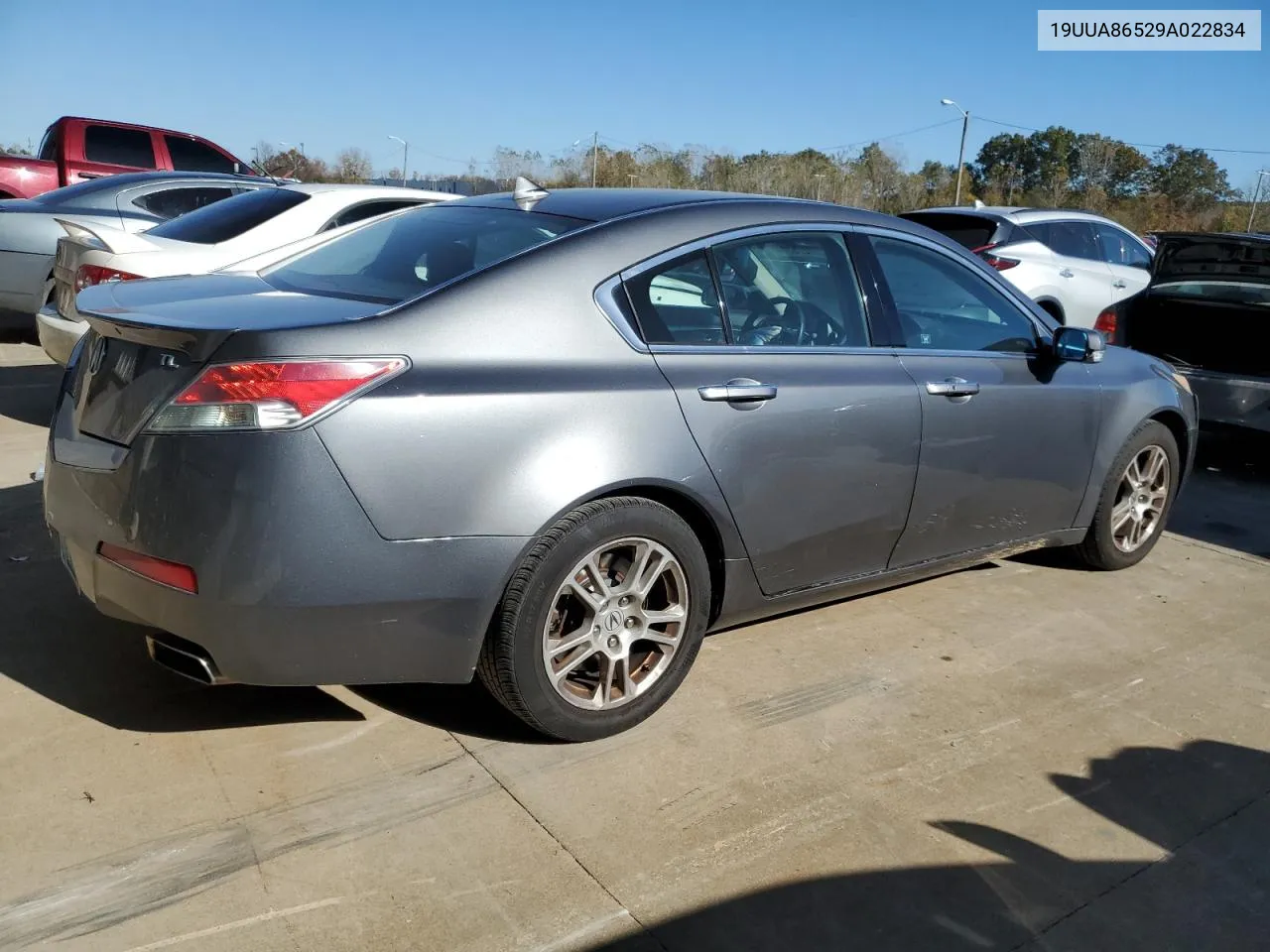 2009 Acura Tl VIN: 19UUA86529A022834 Lot: 77275314