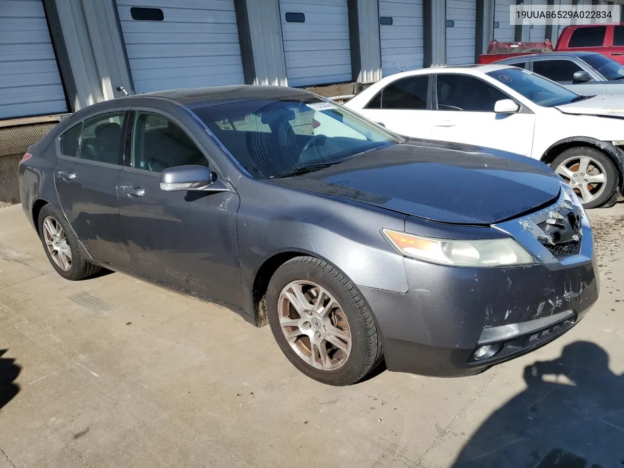 2009 Acura Tl VIN: 19UUA86529A022834 Lot: 77275314