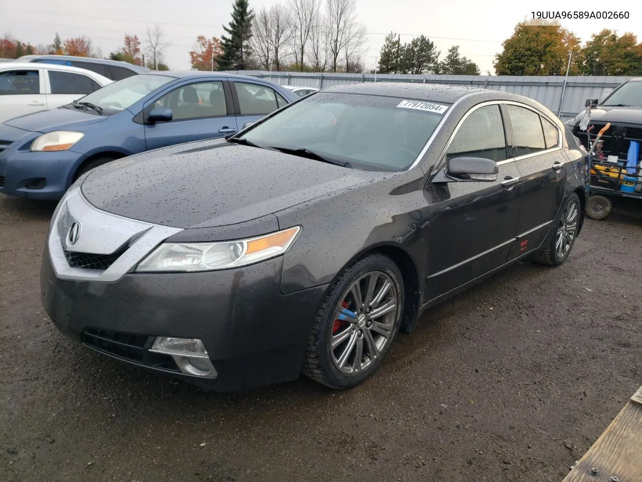 2009 Acura Tl VIN: 19UUA96589A002660 Lot: 77972054