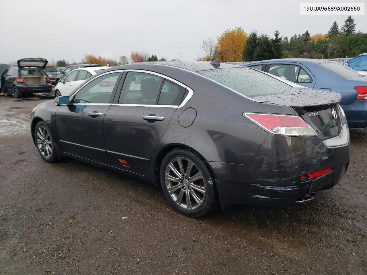 2009 Acura Tl VIN: 19UUA96589A002660 Lot: 77972054