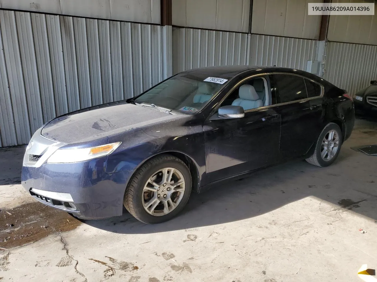 2009 Acura Tl VIN: 19UUA86209A014396 Lot: 77982814