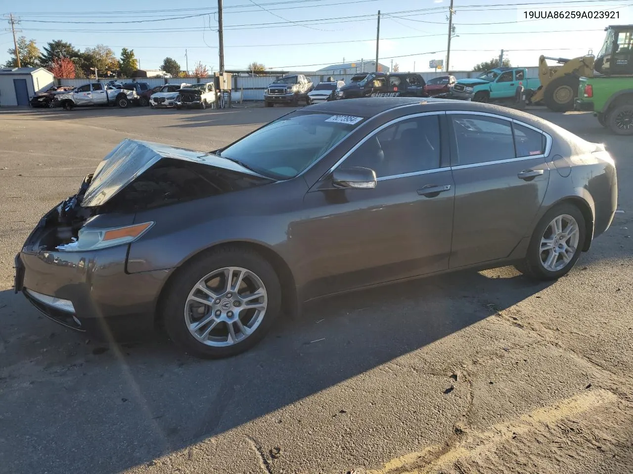 2009 Acura Tl VIN: 19UUA86259A023921 Lot: 78273954