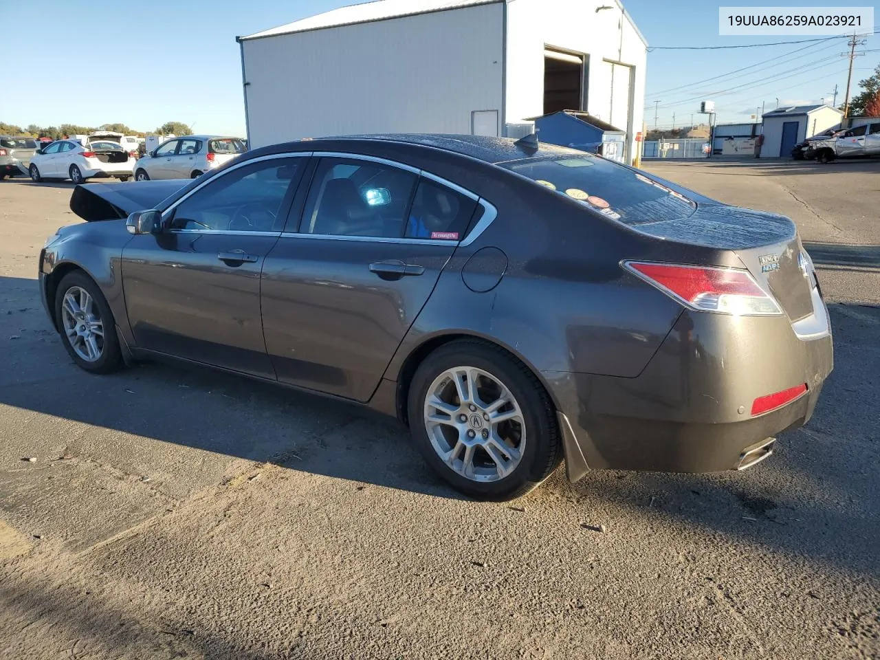 2009 Acura Tl VIN: 19UUA86259A023921 Lot: 78273954