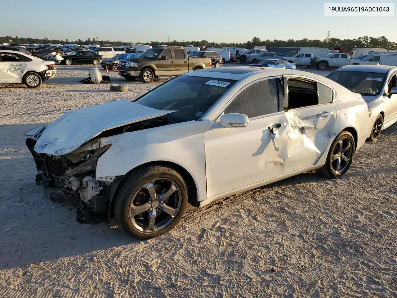 2009 Acura Tl VIN: 19UUA96519A001043 Lot: 78316854