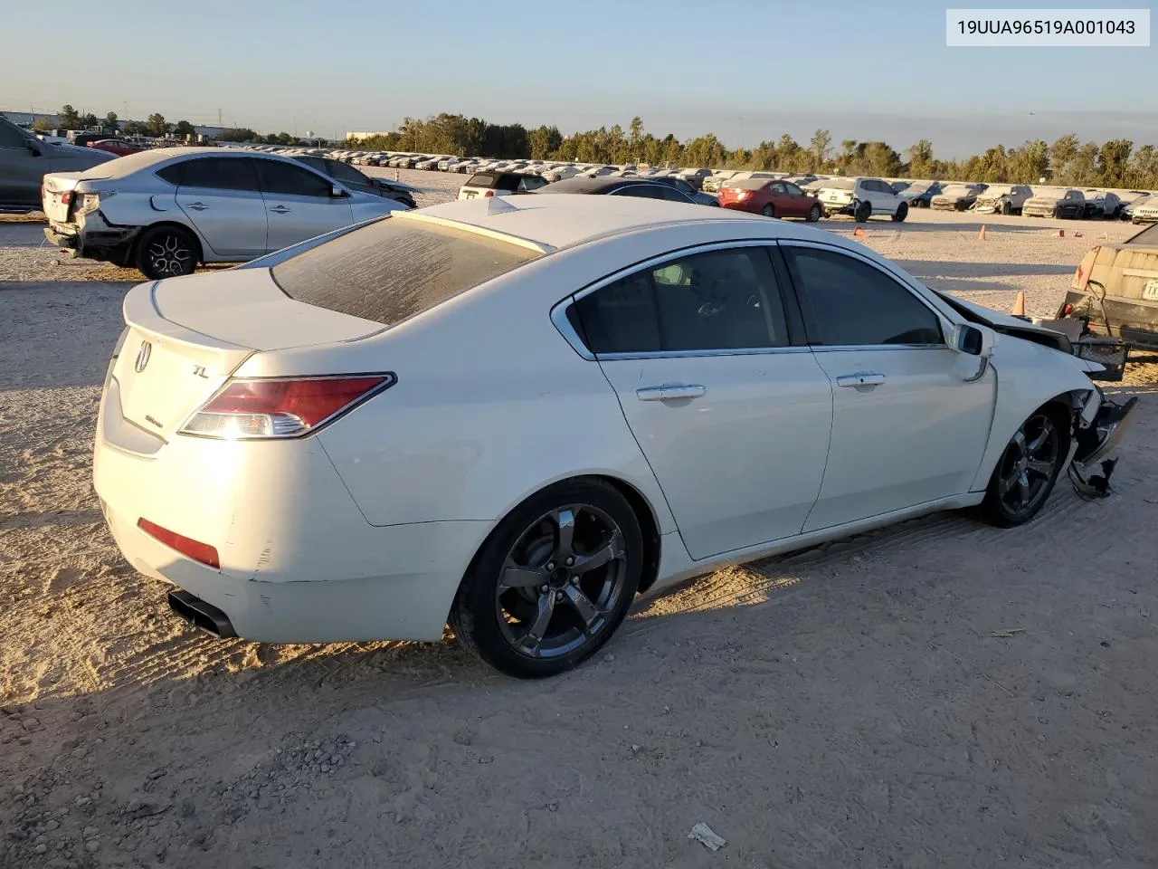 2009 Acura Tl VIN: 19UUA96519A001043 Lot: 78316854