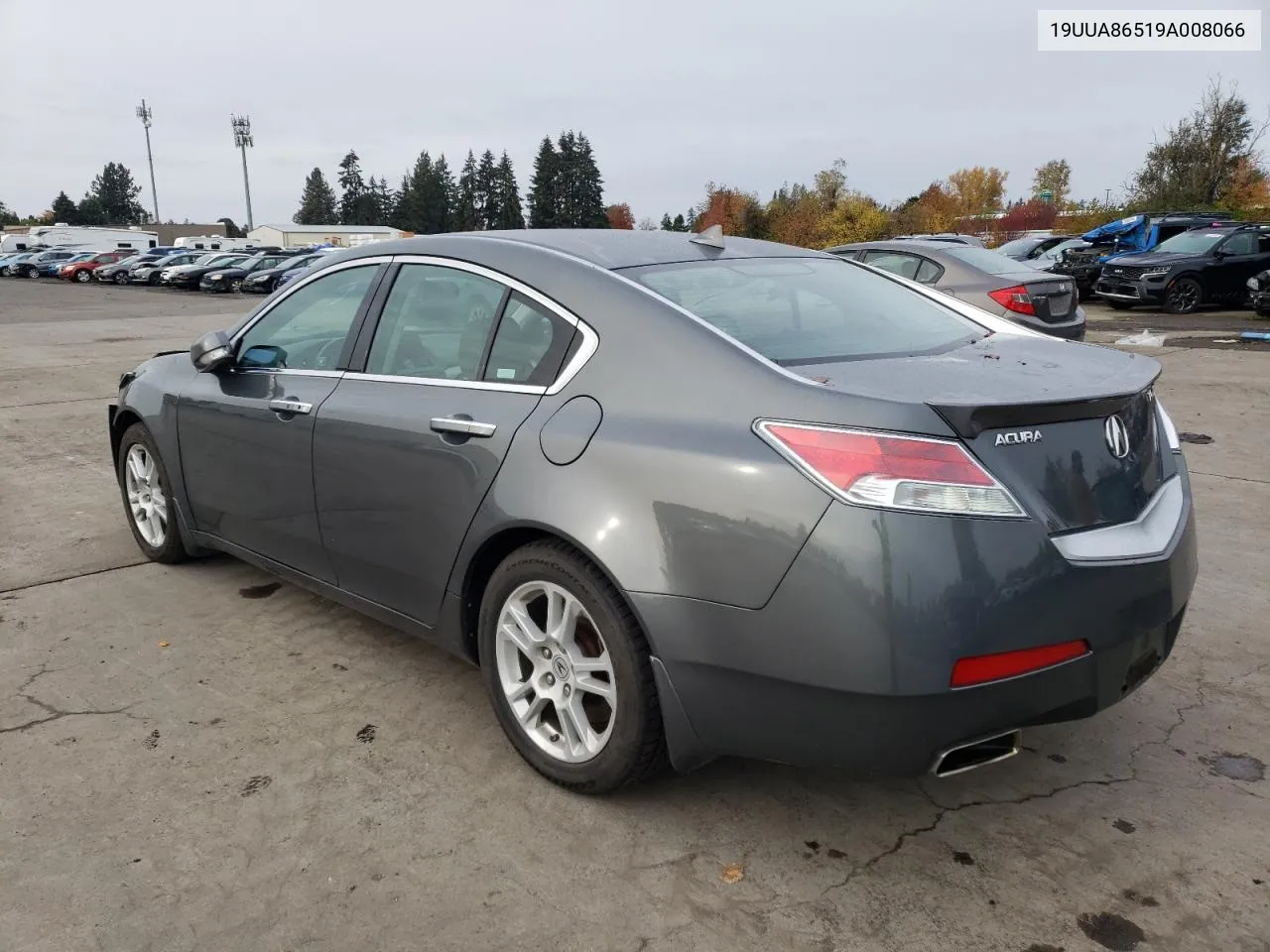 2009 Acura Tl VIN: 19UUA86519A008066 Lot: 78747164