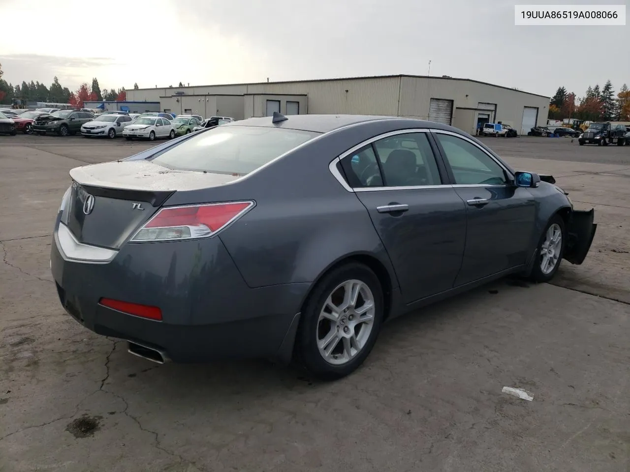 2009 Acura Tl VIN: 19UUA86519A008066 Lot: 78747164