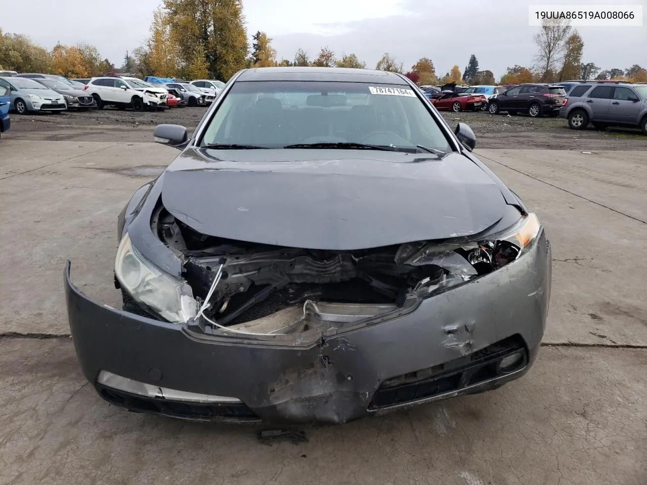 2009 Acura Tl VIN: 19UUA86519A008066 Lot: 78747164