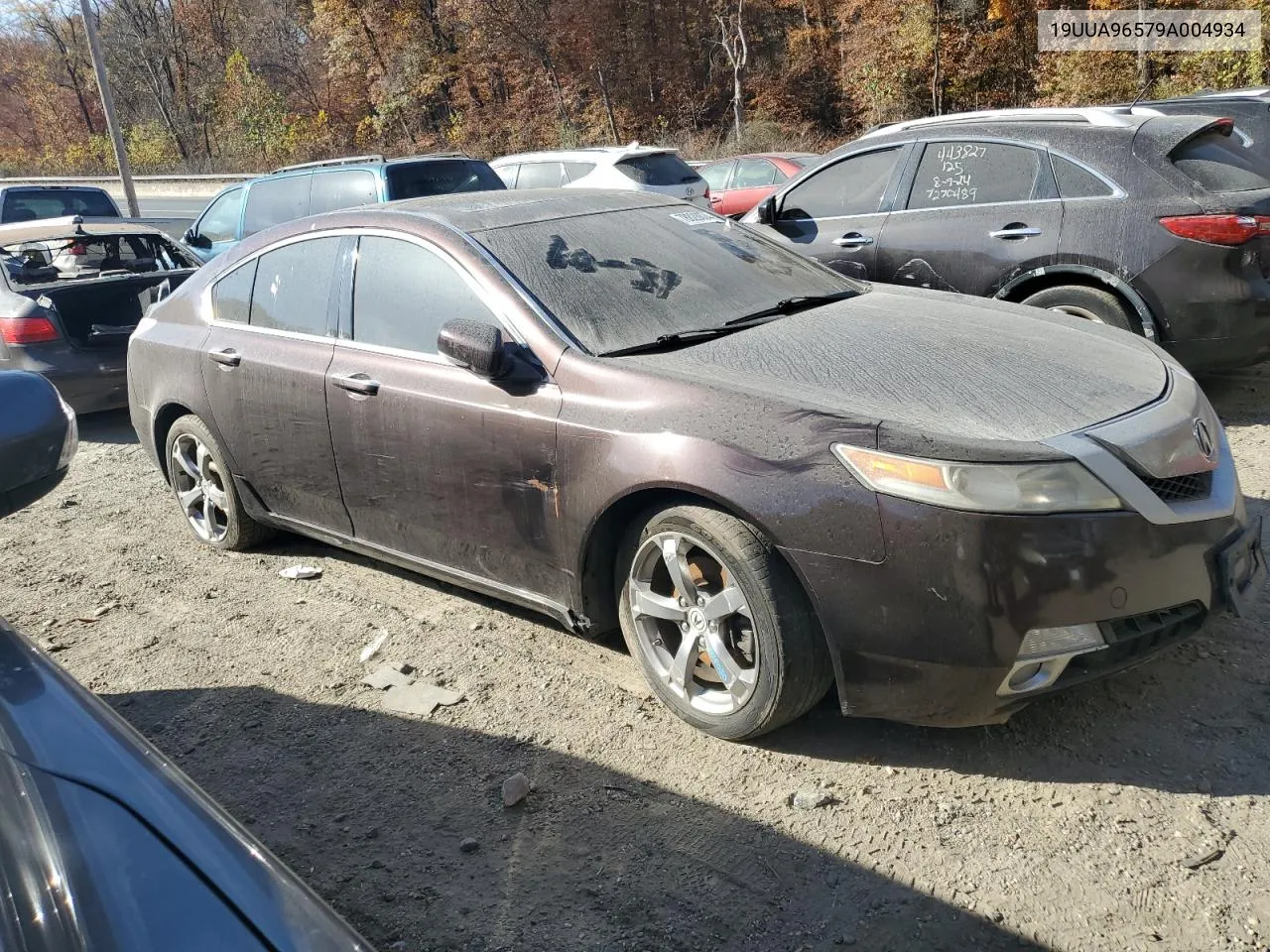 2009 Acura Tl VIN: 19UUA96579A004934 Lot: 78828874