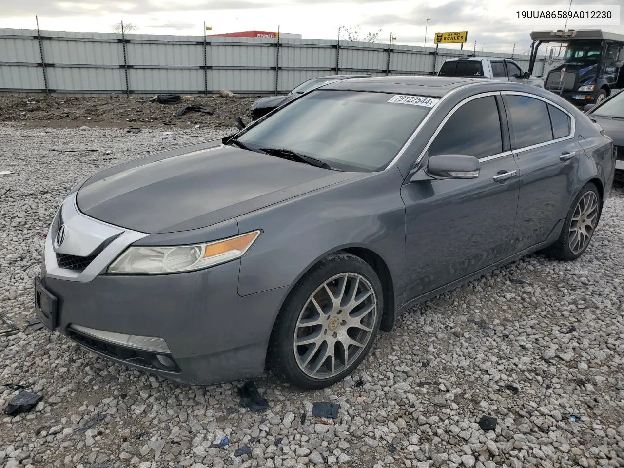 2009 Acura Tl VIN: 19UUA86589A012230 Lot: 79122544