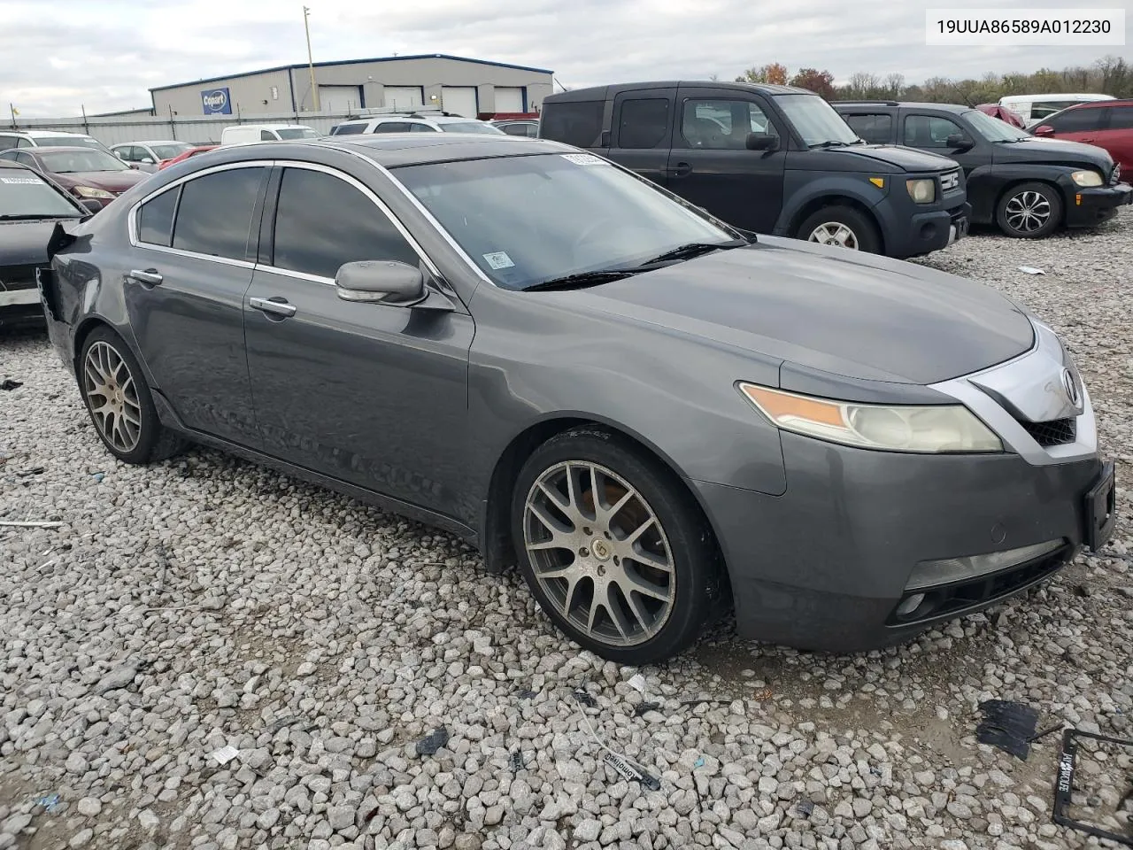 2009 Acura Tl VIN: 19UUA86589A012230 Lot: 79122544