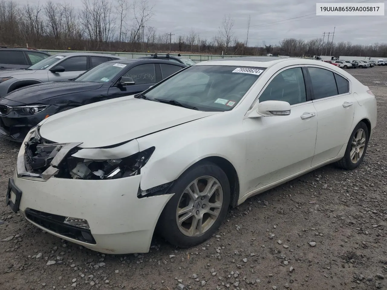 2009 Acura Tl VIN: 19UUA86559A005817 Lot: 79998624