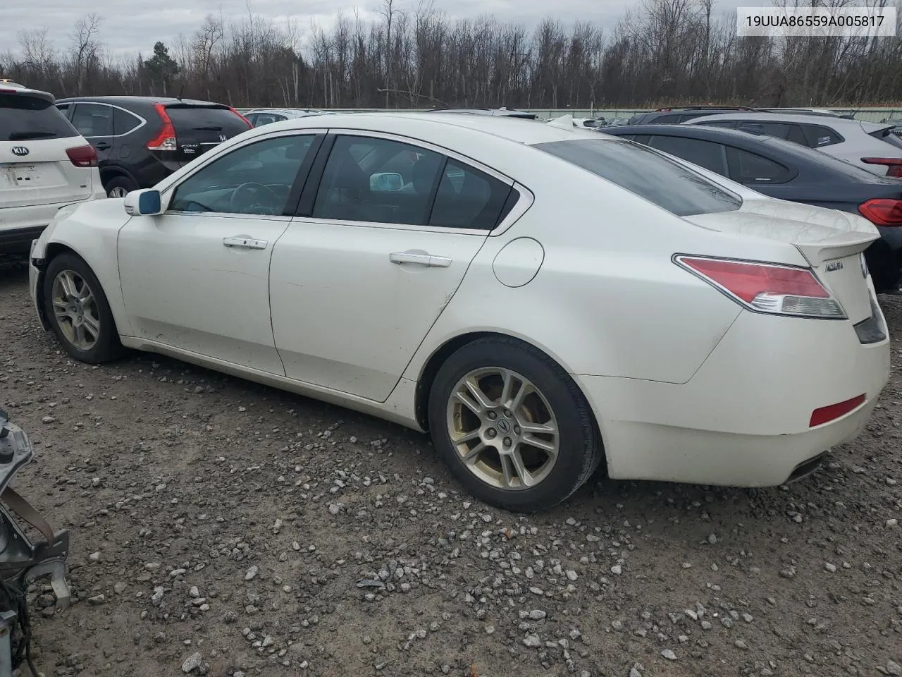 2009 Acura Tl VIN: 19UUA86559A005817 Lot: 79998624