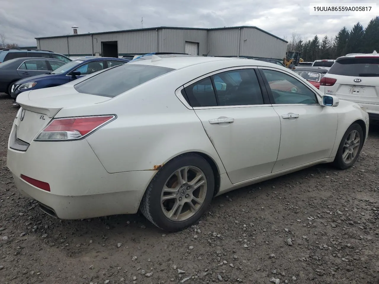 2009 Acura Tl VIN: 19UUA86559A005817 Lot: 79998624