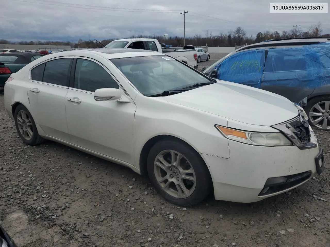 2009 Acura Tl VIN: 19UUA86559A005817 Lot: 79998624