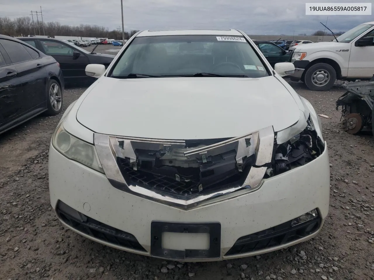 2009 Acura Tl VIN: 19UUA86559A005817 Lot: 79998624