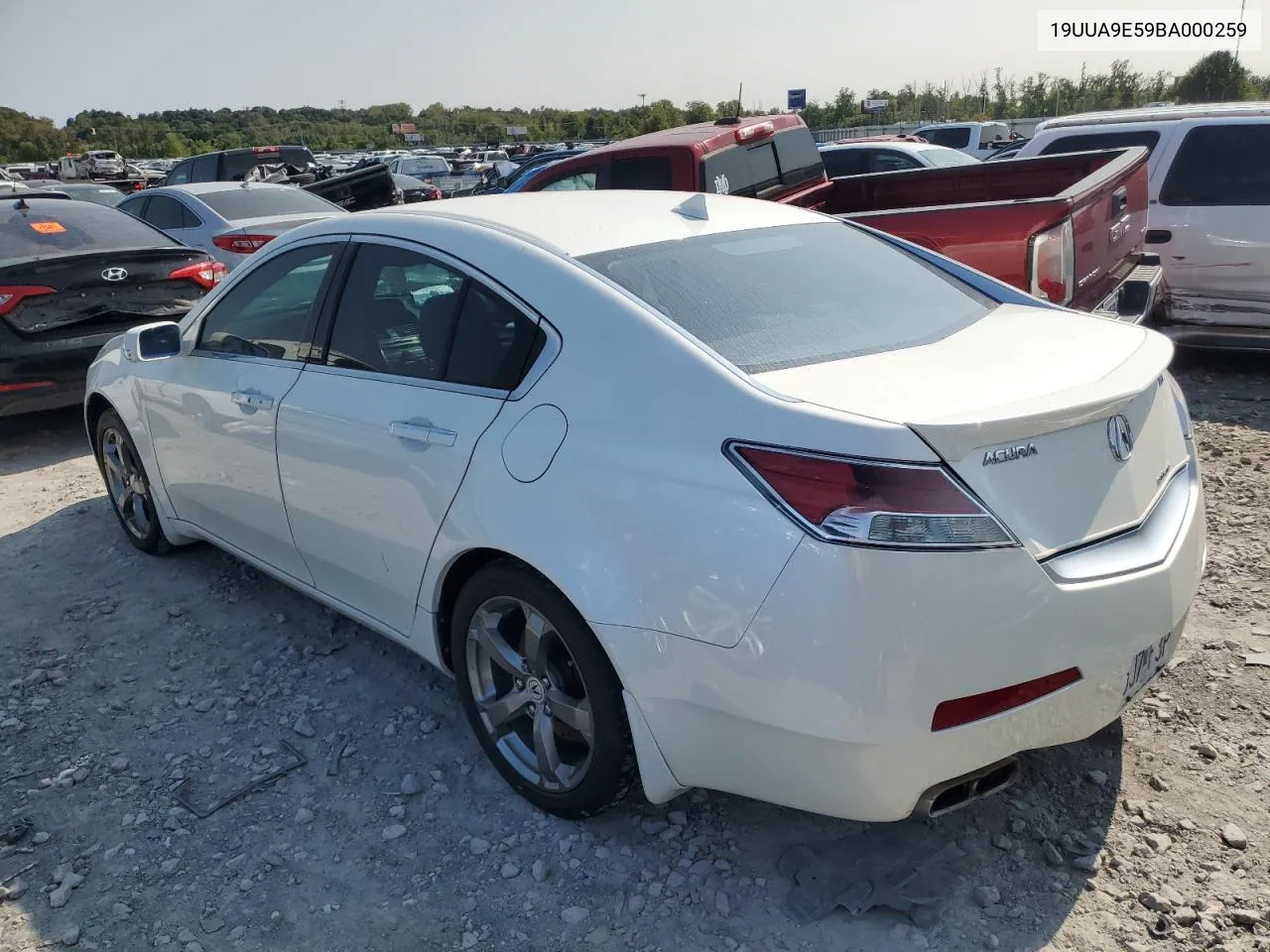 2011 Acura Tl VIN: 19UUA9E59BA000259 Lot: 69224614