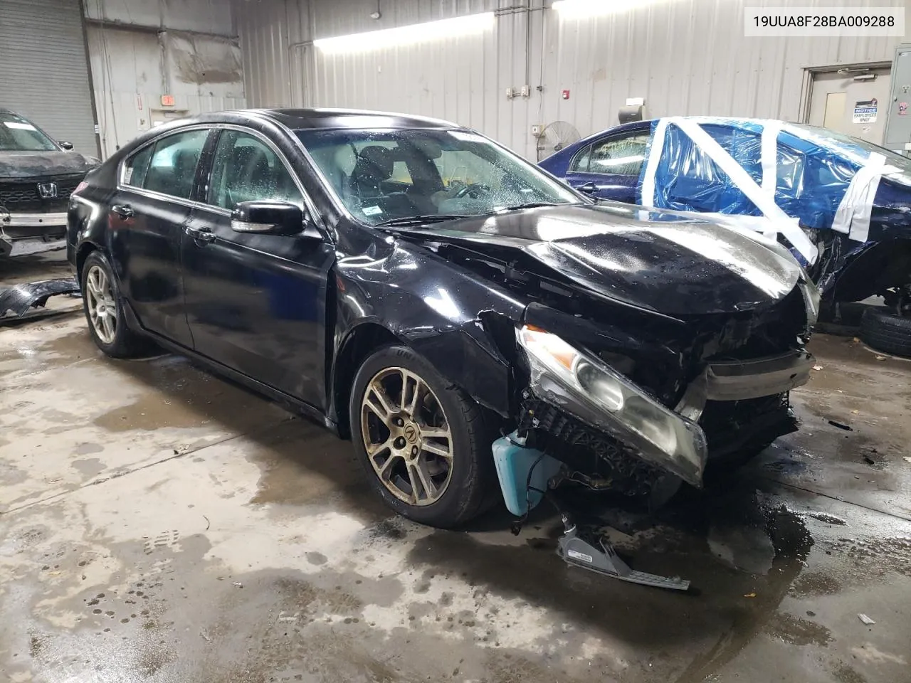 2011 Acura Tl VIN: 19UUA8F28BA009288 Lot: 77367964