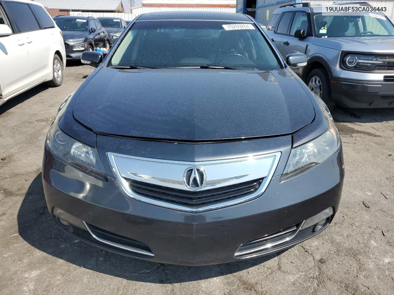 2012 Acura Tl VIN: 19UUA8F53CA036443 Lot: 70269284