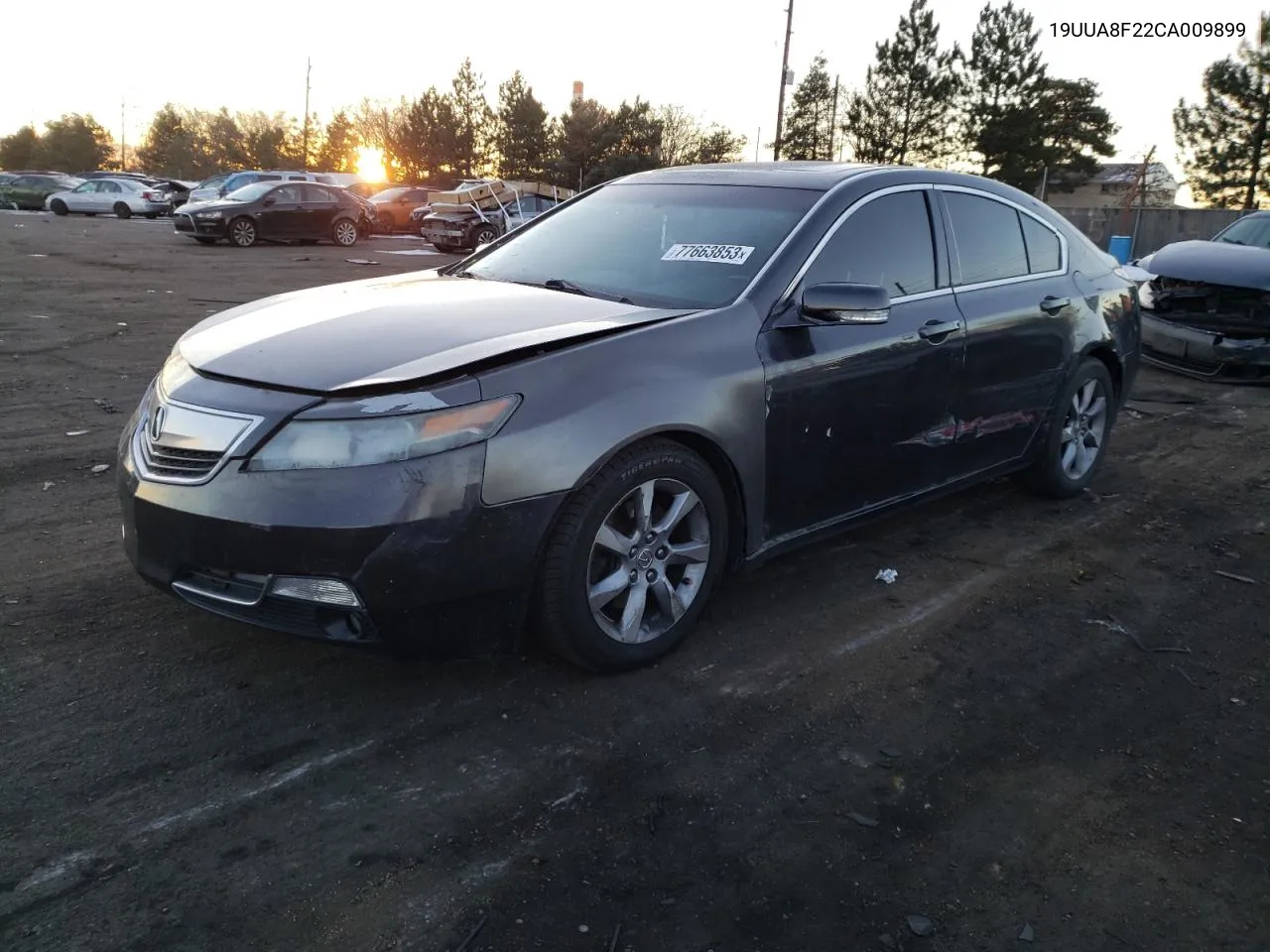 2012 Acura Tl VIN: 19UUA8F22CA009899 Lot: 73166554