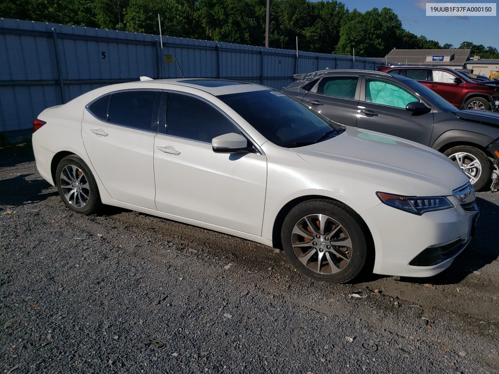 2015 Acura Tlx VIN: 19UUB1F37FA000150 Lot: 60203544