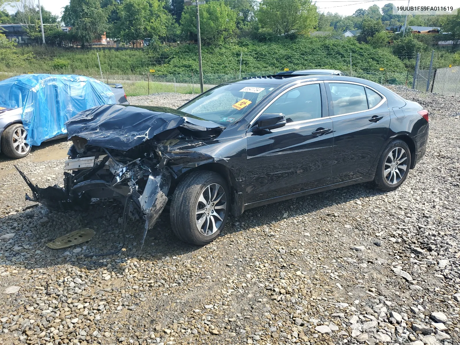 19UUB1F59FA011619 2015 Acura Tlx Tech