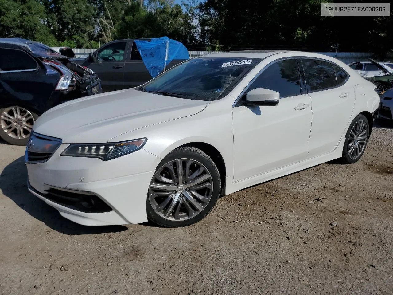 2015 Acura Tlx Advance VIN: 19UUB2F71FA000203 Lot: 73159084