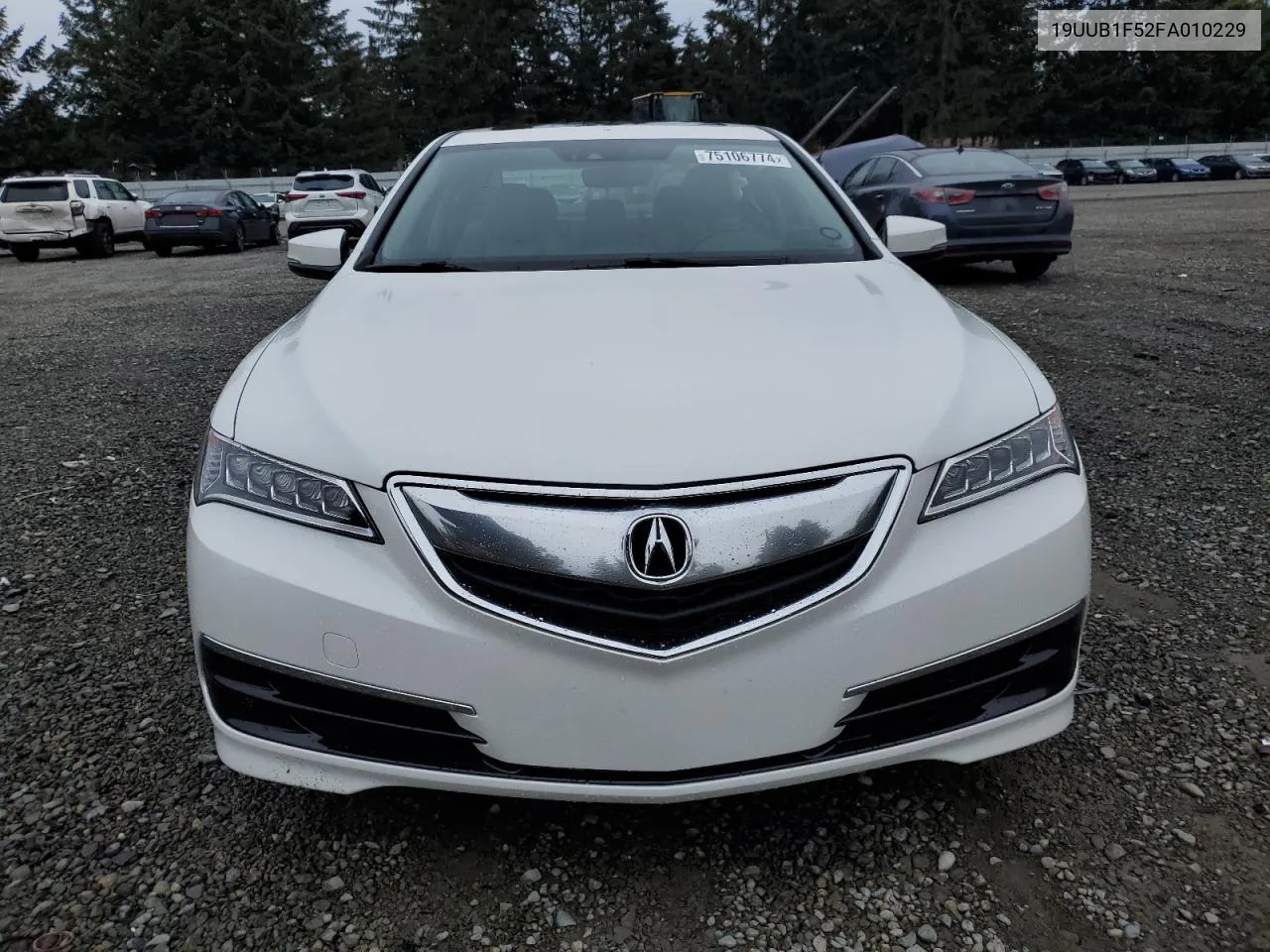 2015 Acura Tlx Tech VIN: 19UUB1F52FA010229 Lot: 75106774