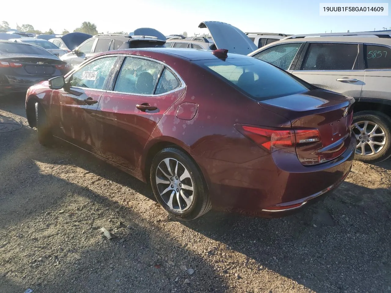 2016 Acura Tlx Tech VIN: 19UUB1F58GA014609 Lot: 70219154