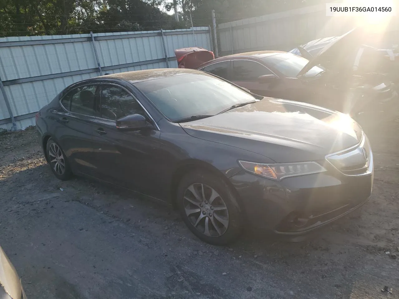 2016 Acura Tlx VIN: 19UUB1F36GA014560 Lot: 74900274