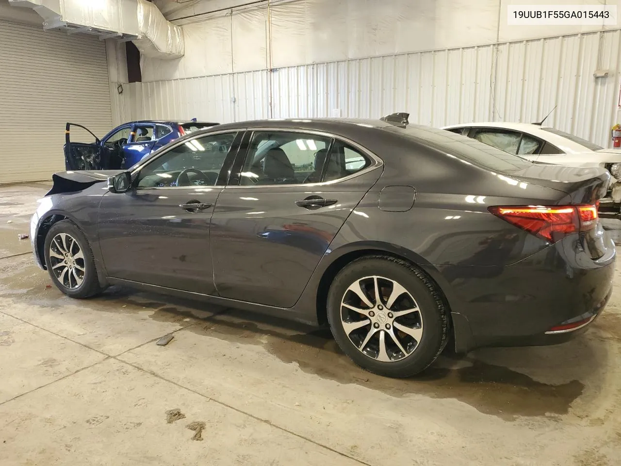 2016 Acura Tlx Tech VIN: 19UUB1F55GA015443 Lot: 80833954