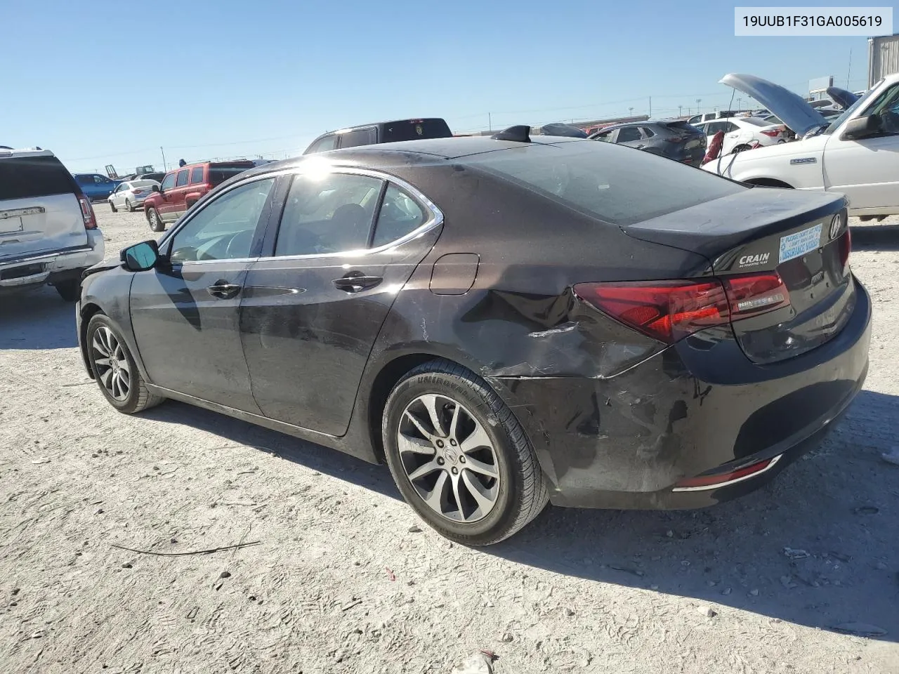 2016 Acura Tlx VIN: 19UUB1F31GA005619 Lot: 81031814