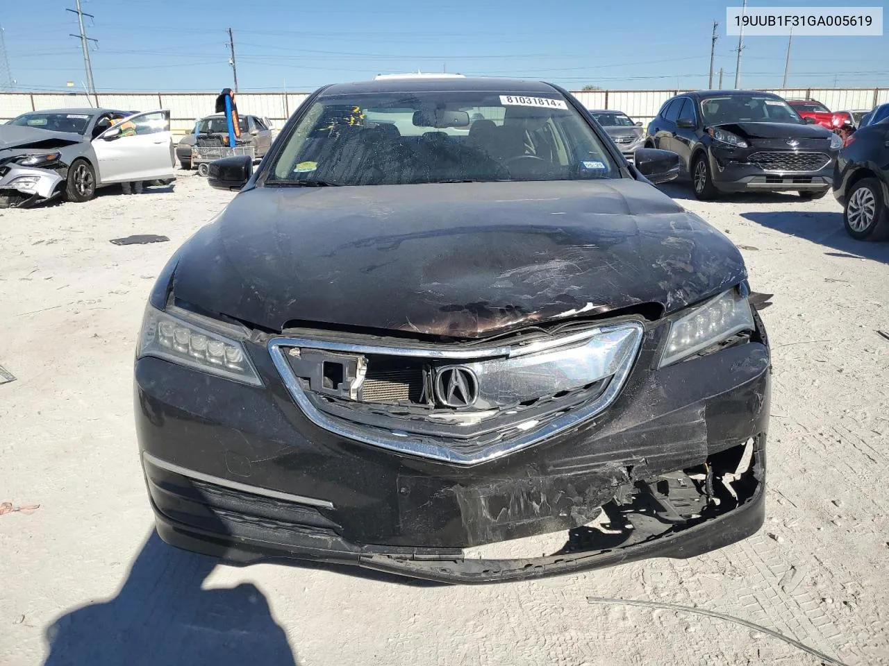 2016 Acura Tlx VIN: 19UUB1F31GA005619 Lot: 81031814