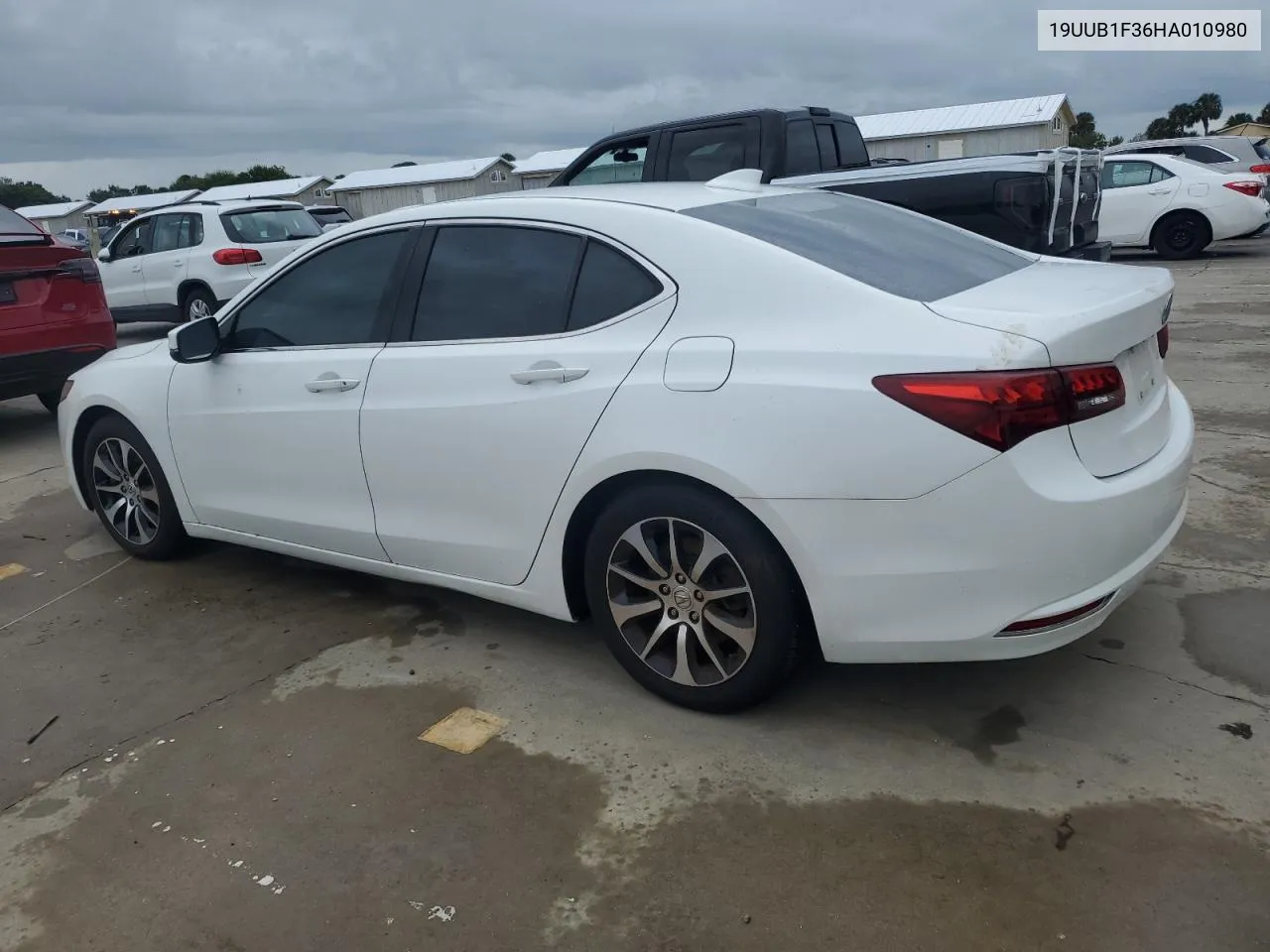 2017 Acura Tlx VIN: 19UUB1F36HA010980 Lot: 74104474