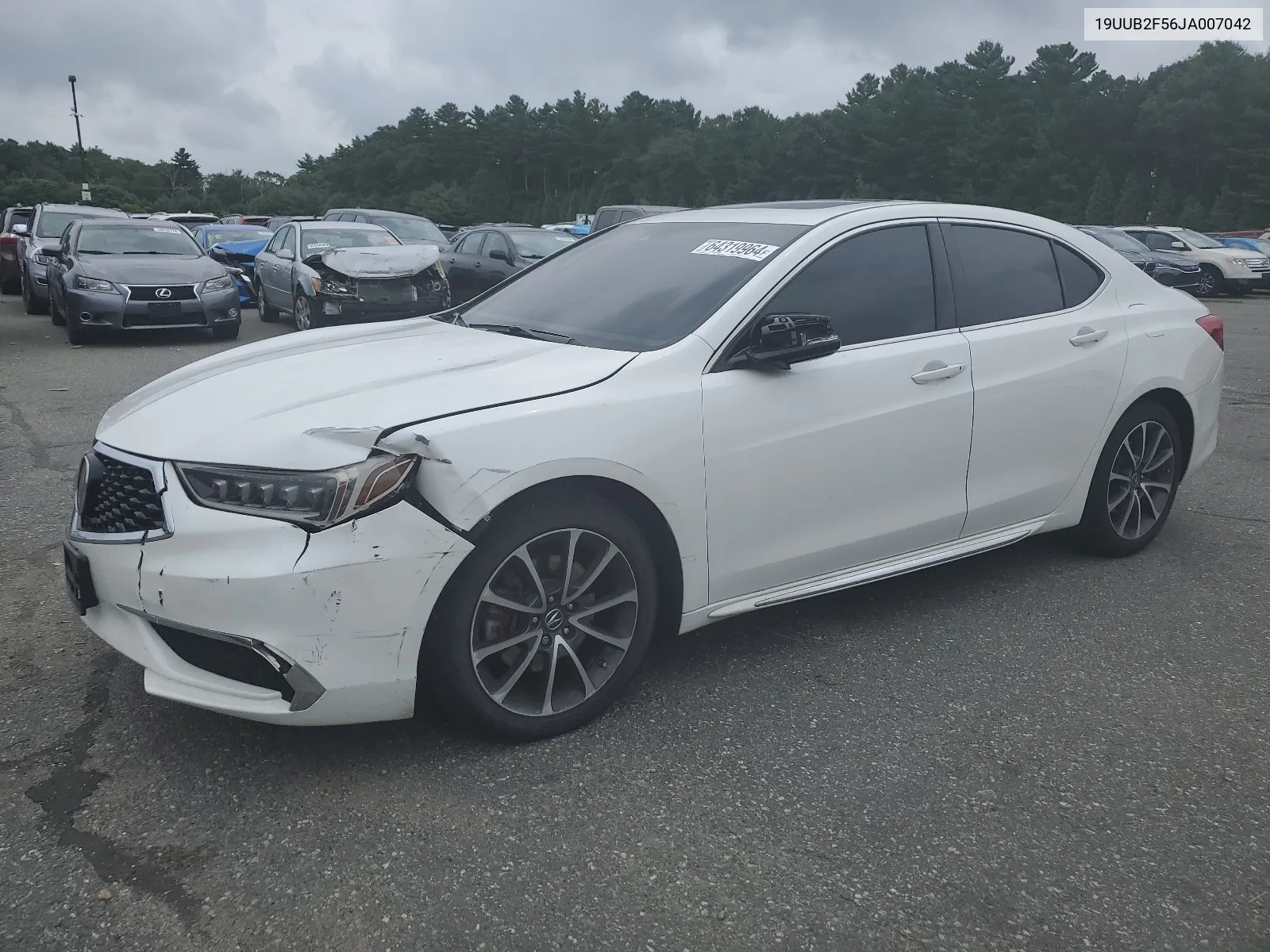 2018 Acura Tlx Tech VIN: 19UUB2F56JA007042 Lot: 64319964