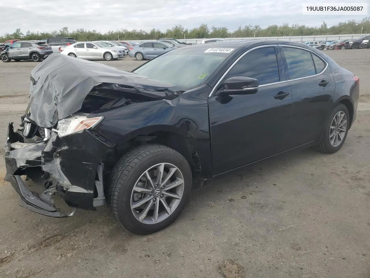 2018 Acura Tlx VIN: 19UUB1F36JA005087 Lot: 81024034