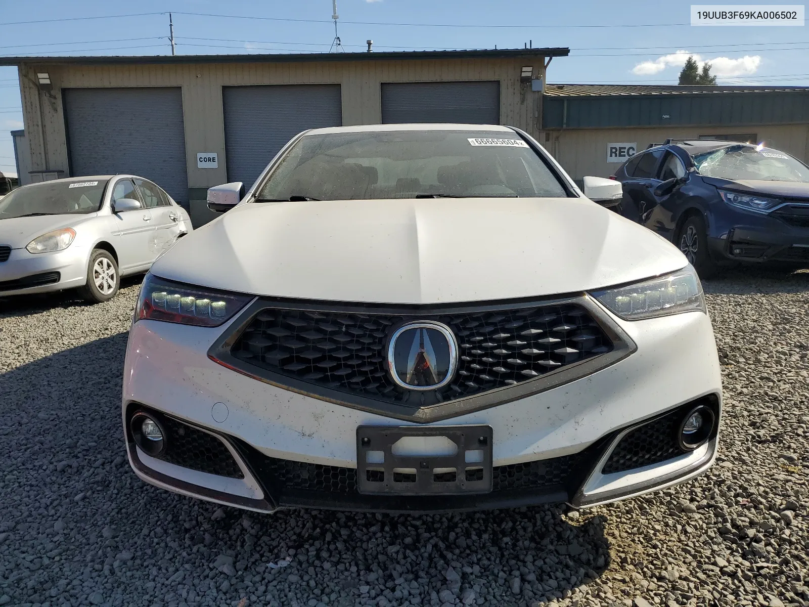 2019 Acura Tlx Technology VIN: 19UUB3F69KA006502 Lot: 66665604