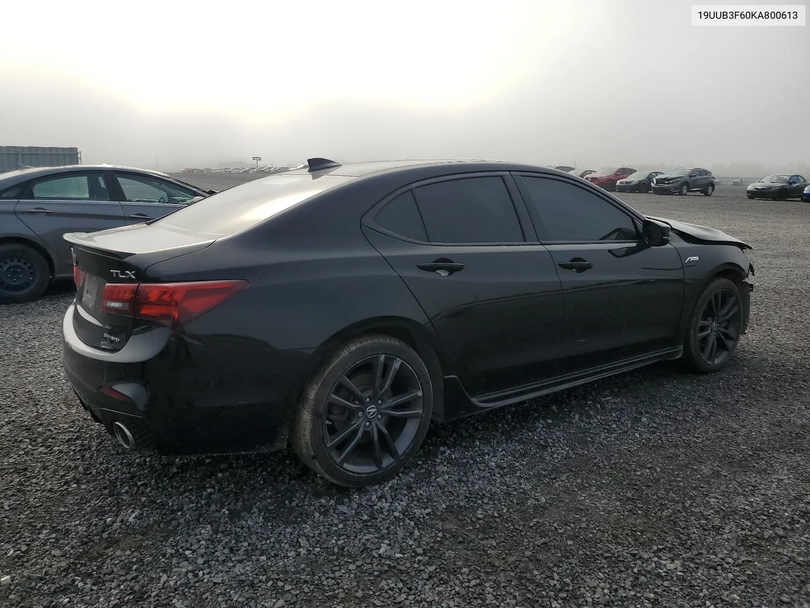 2019 Acura Tlx Technology VIN: 19UUB3F60KA800613 Lot: 67629864