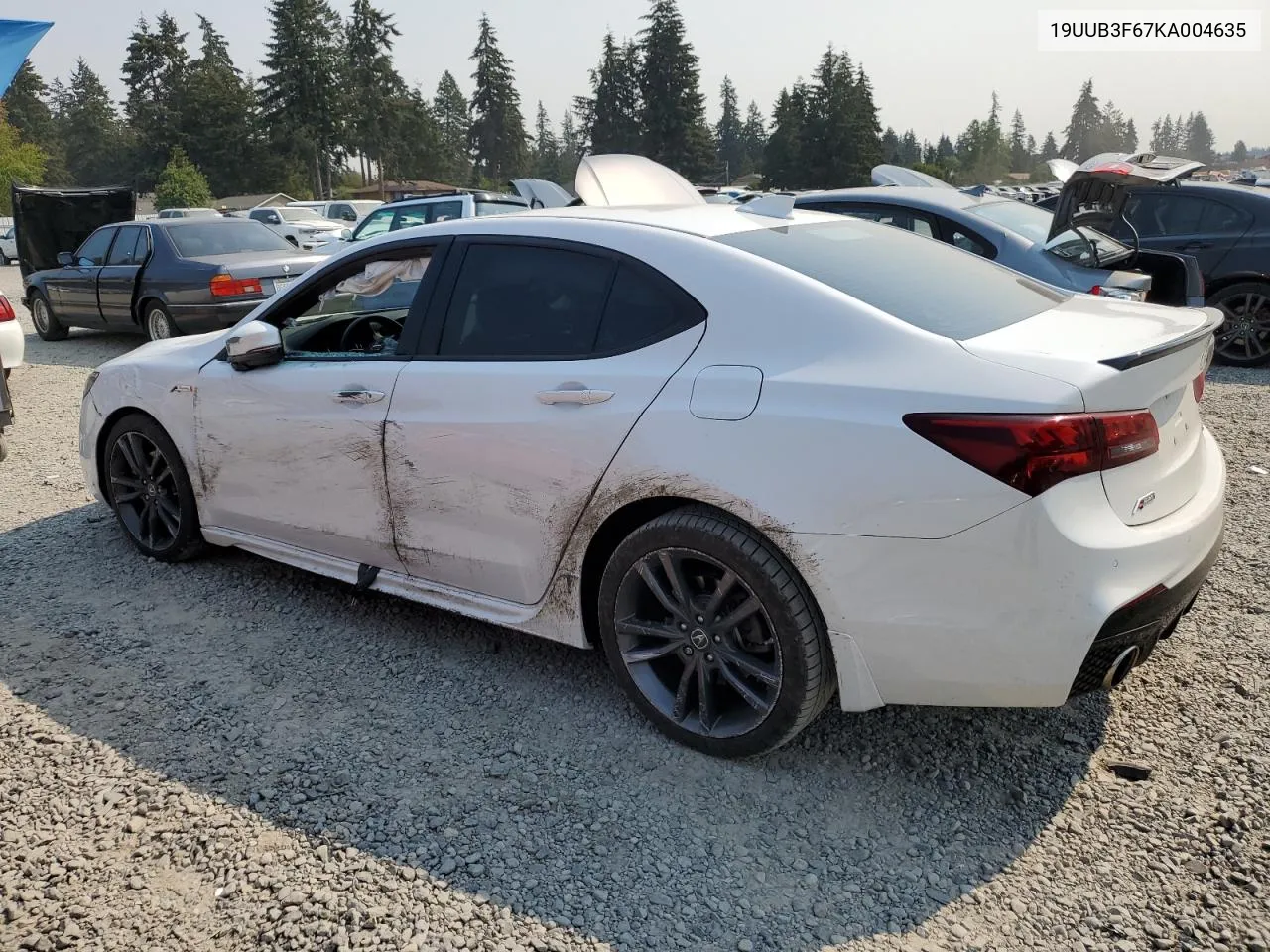 2019 Acura Tlx Technology VIN: 19UUB3F67KA004635 Lot: 70285984