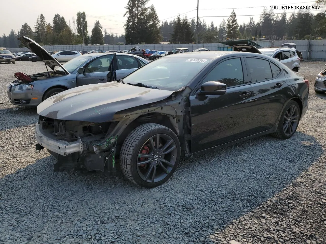 2019 Acura Tlx Technology VIN: 19UUB1F60KA800647 Lot: 70312494