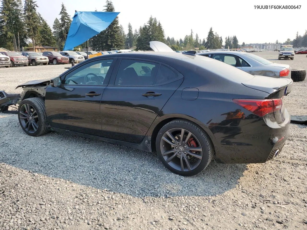 2019 Acura Tlx Technology VIN: 19UUB1F60KA800647 Lot: 70312494