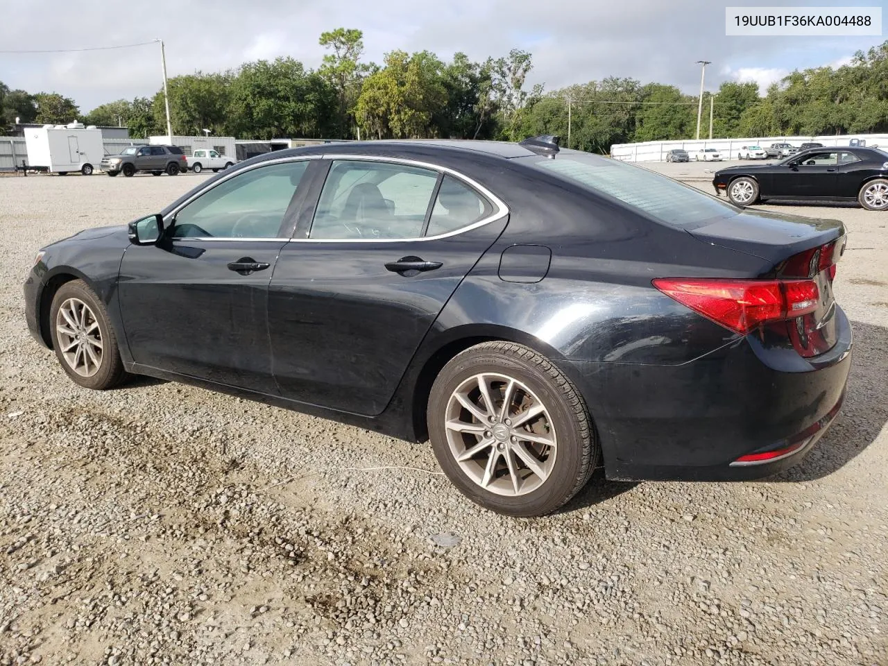 19UUB1F36KA004488 2019 Acura Tlx