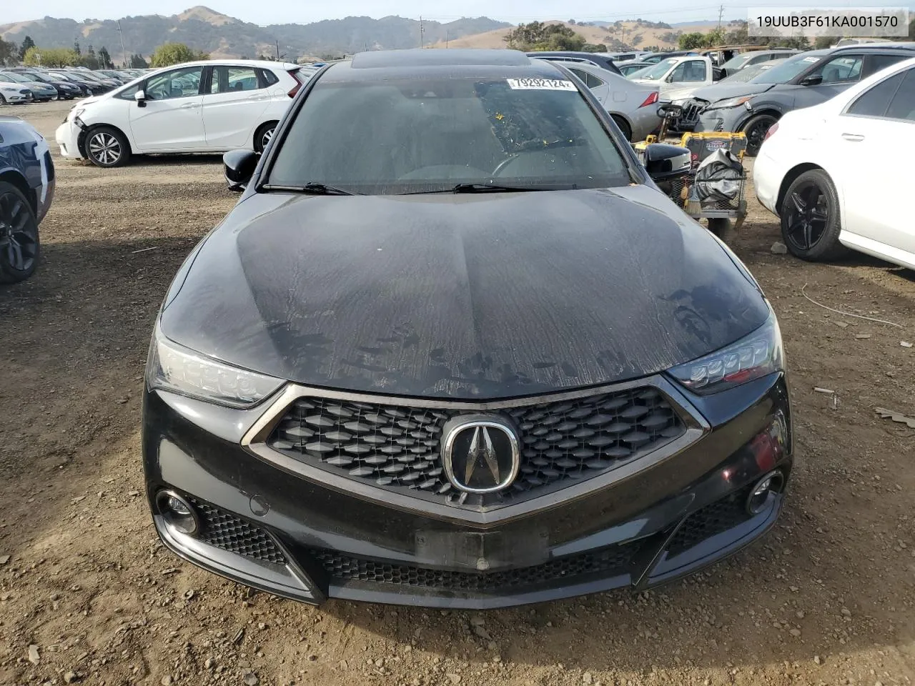 2019 Acura Tlx Technology VIN: 19UUB3F61KA001570 Lot: 79292124