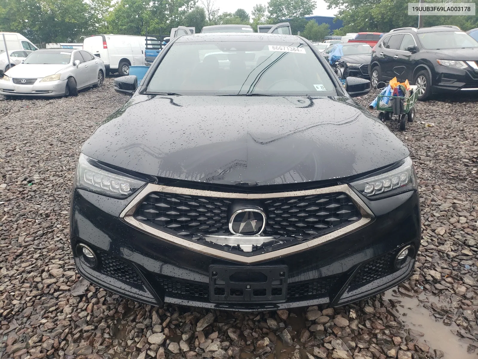 2020 Acura Tlx Technology VIN: 19UUB3F69LA003178 Lot: 66671384