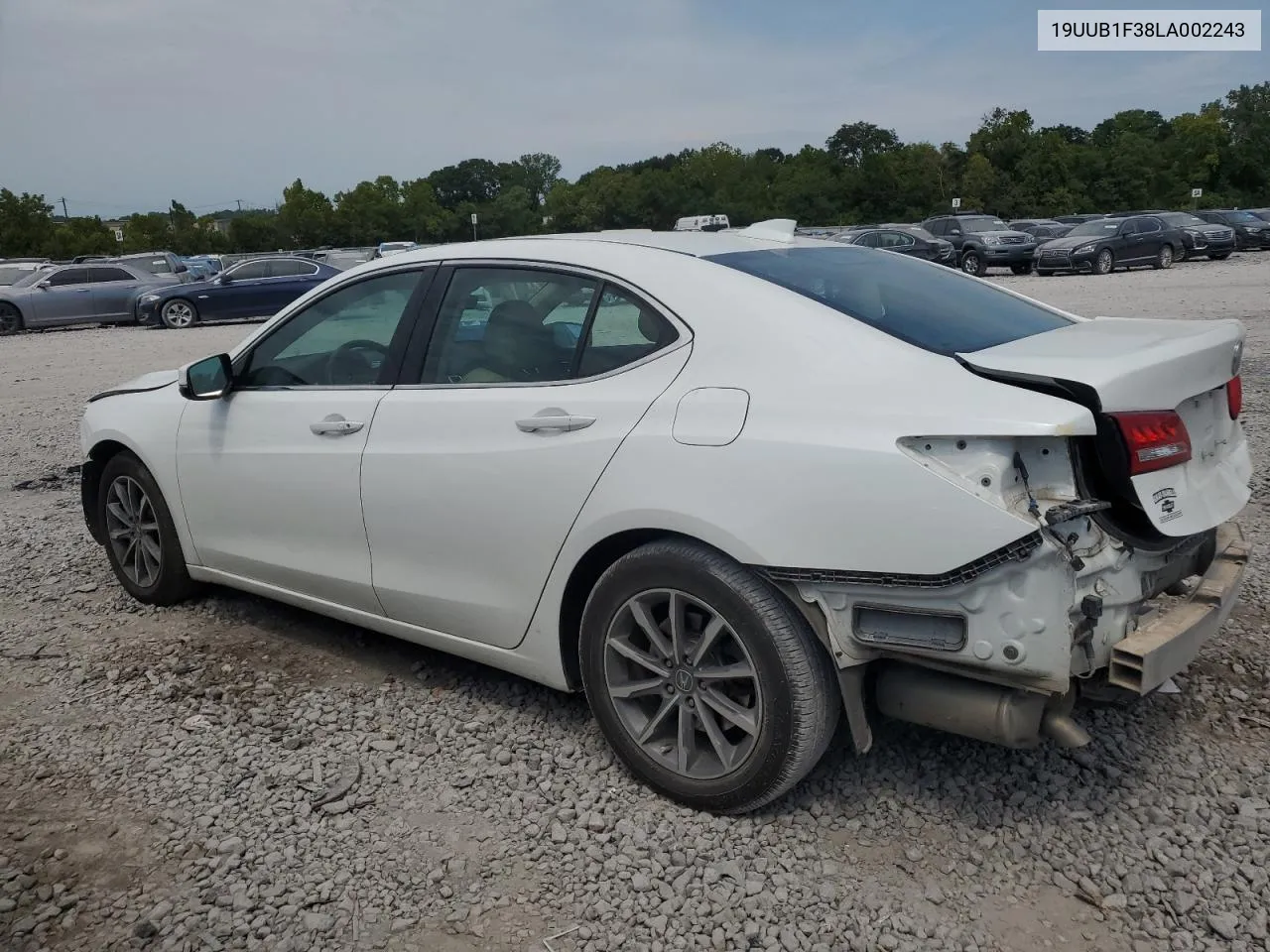 2020 Acura Tlx VIN: 19UUB1F38LA002243 Lot: 67173634