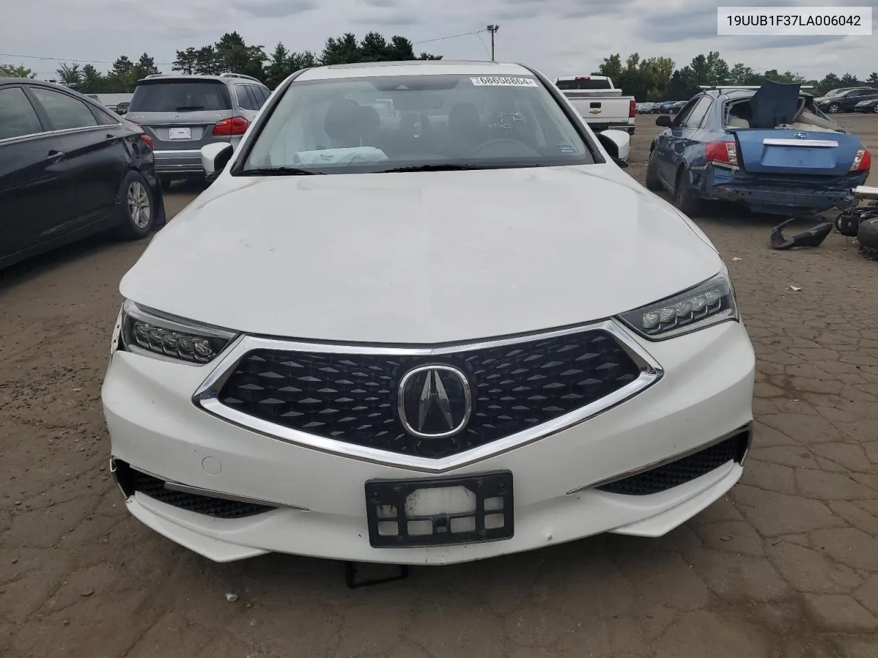 2020 Acura Tlx VIN: 19UUB1F37LA006042 Lot: 68658864