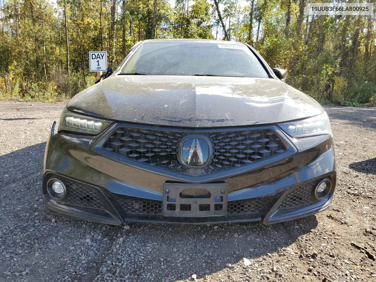 2020 Acura Tlx Technology VIN: 19UUB3F66LA800925 Lot: 70845674