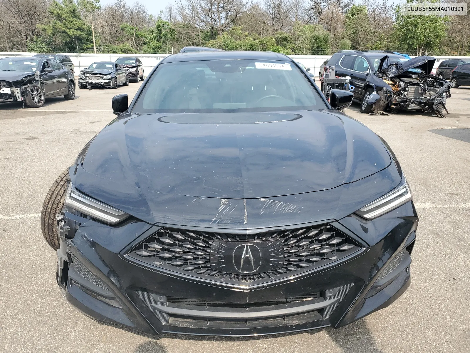 2021 Acura Tlx Tech A VIN: 19UUB5F55MA010391 Lot: 64094514