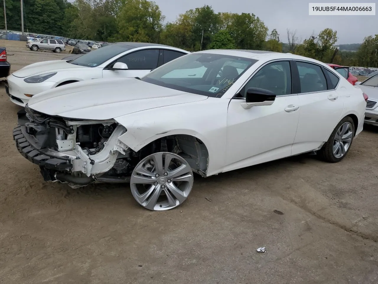 2021 Acura Tlx Technology VIN: 19UUB5F44MA006663 Lot: 71754994