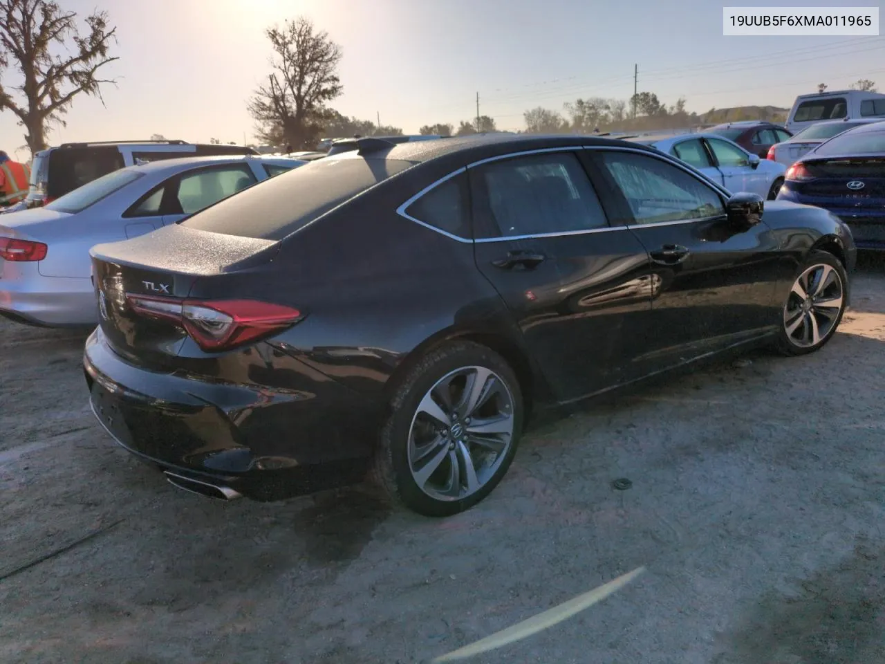 2021 Acura Tlx Advance VIN: 19UUB5F6XMA011965 Lot: 74426554